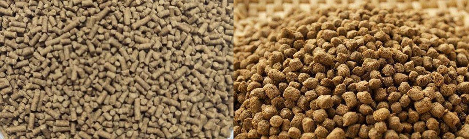 Fish Feeds