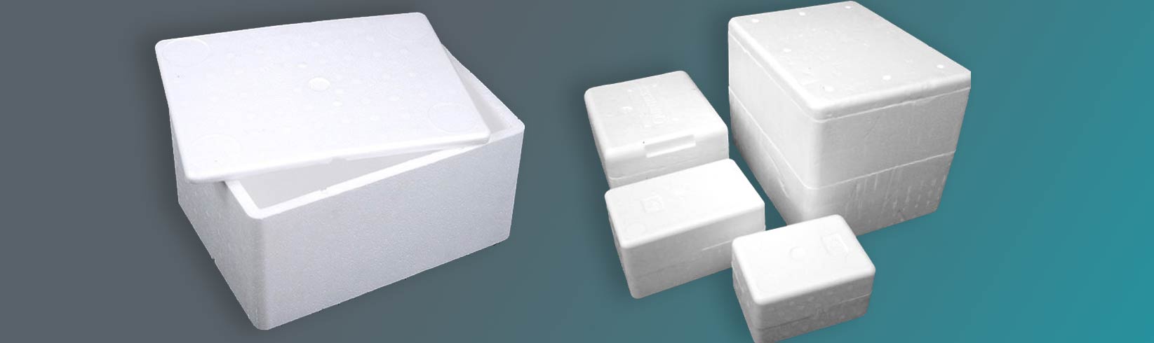Thermocol Boxes
